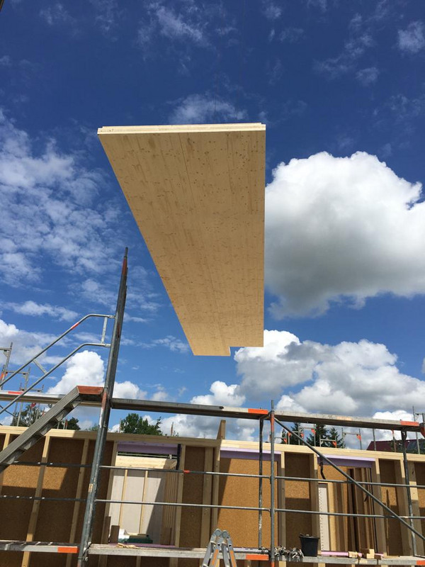 Holzhausbau